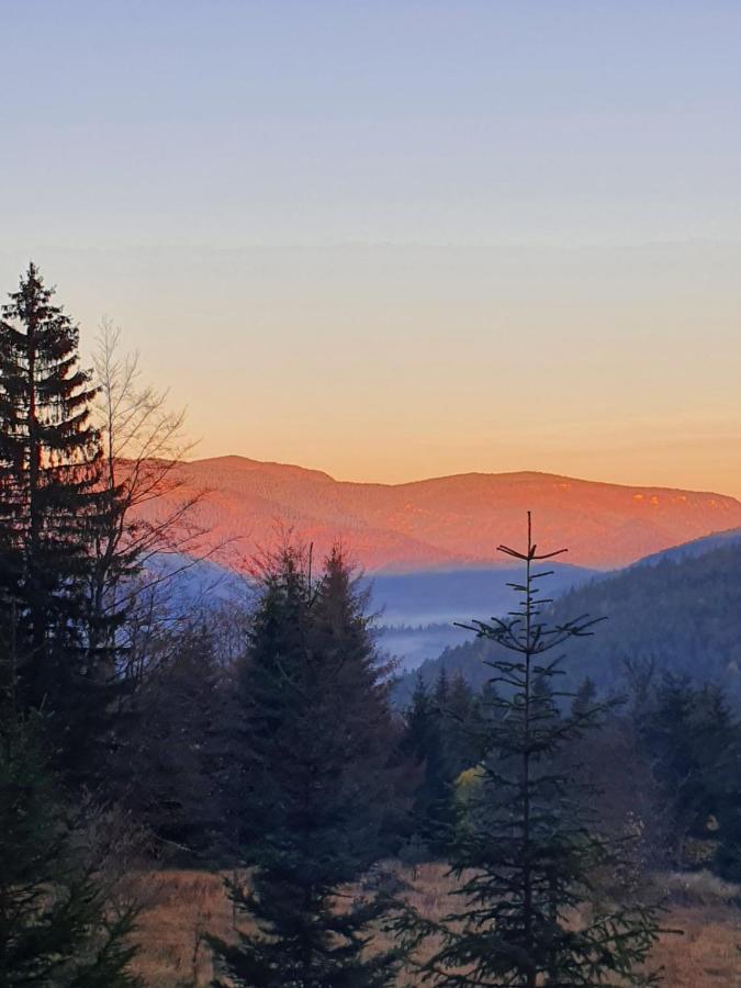 Vrleti Tare Villa Bajina Basta Buitenkant foto